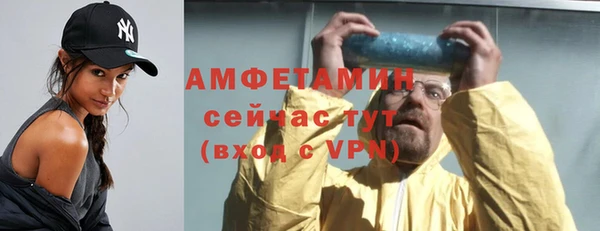 амф Вяземский