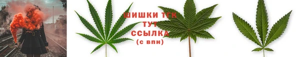 амф Вяземский